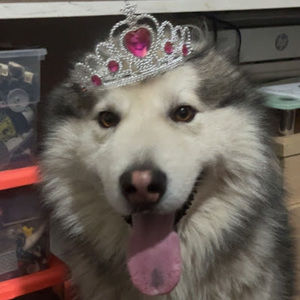 Meet your Posher, Makeila